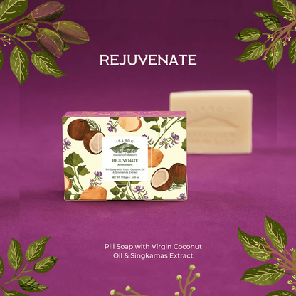 Pili Oil Soap – REJUVENATE